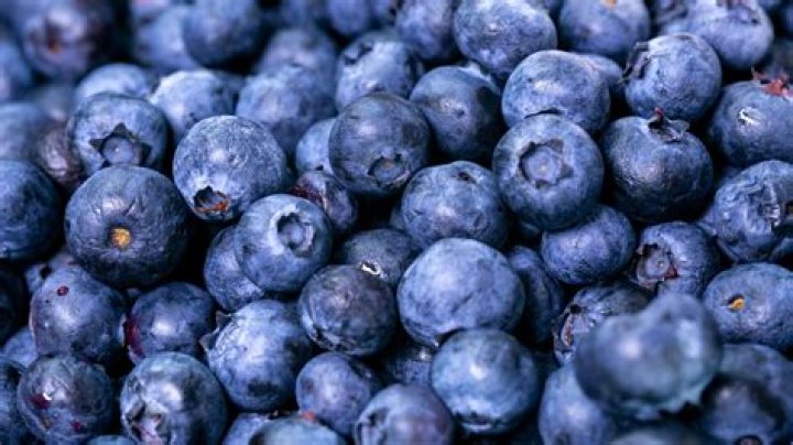 Are blueberries high in estrogen?