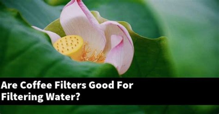 Are coffee filters good for filtering water?
