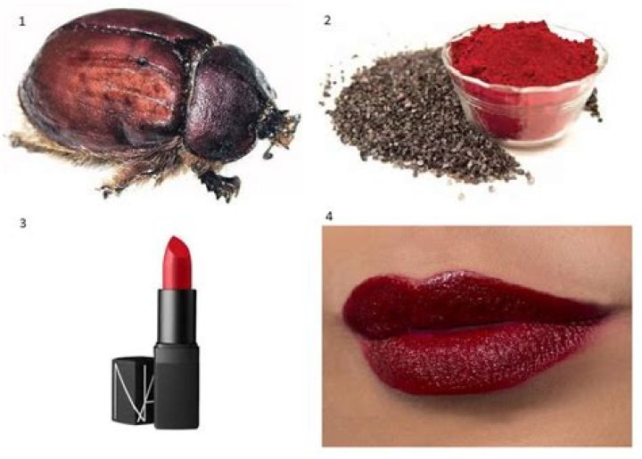 Are lipsticks made out of crushed beetles?