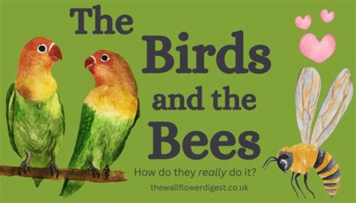 At what age do you talk to your daughter about the birds and the bees?