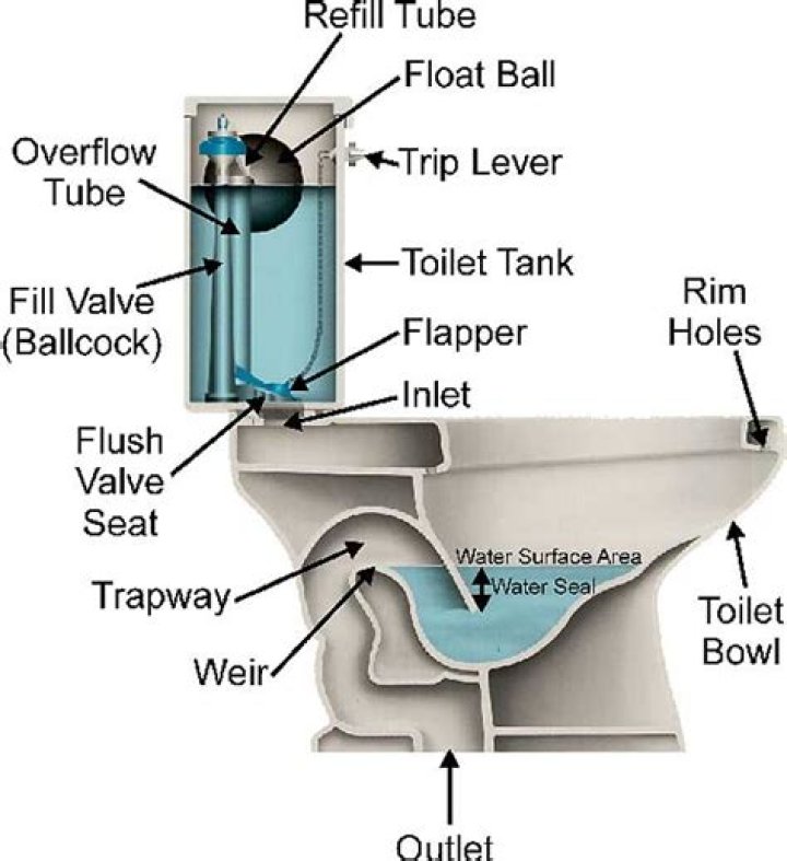 Can a toilet leak from the bottom?