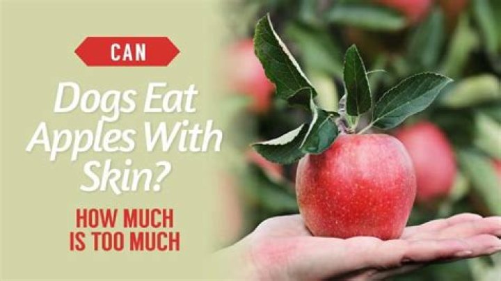 Can dogs eat apples with skin?