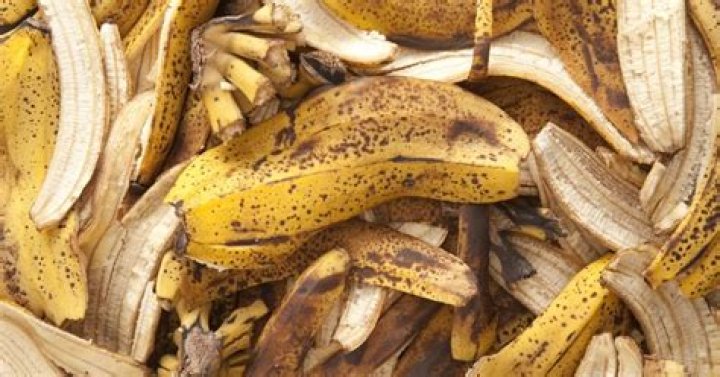 Can I boil banana peels for plants?