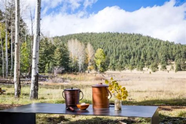 Can I spread human ashes on my lawn?