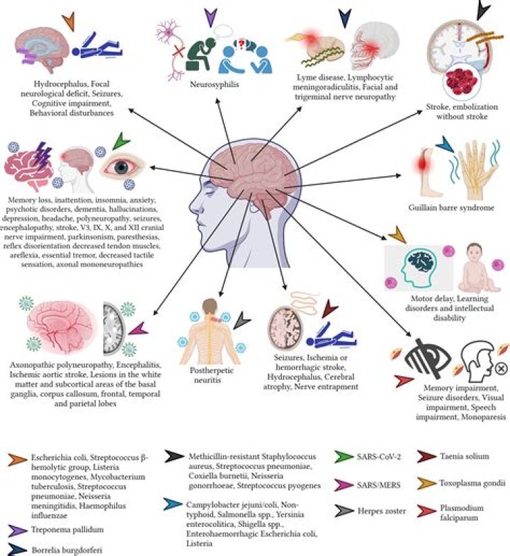 Can parasites cause neurological symptoms?