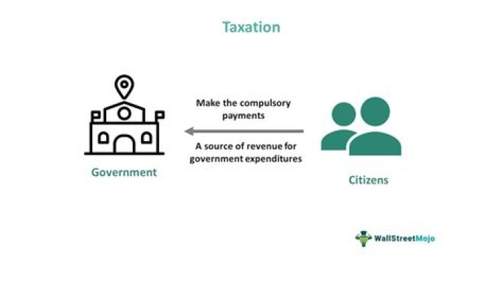 Can the government tax itself?