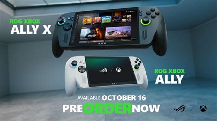 Can you ally with both Raiders and settlers?