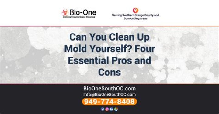 Can you clean up mold yourself?