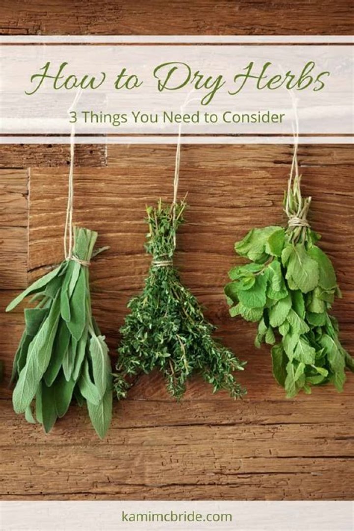 Can you dry herbs in a brown bag?