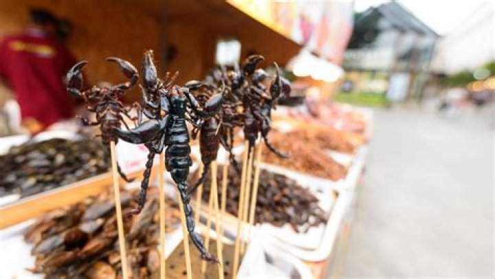 Can you eat scorpions?