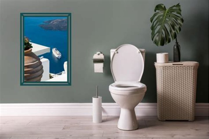 Can you flush toilet paper in Greece Hotels?