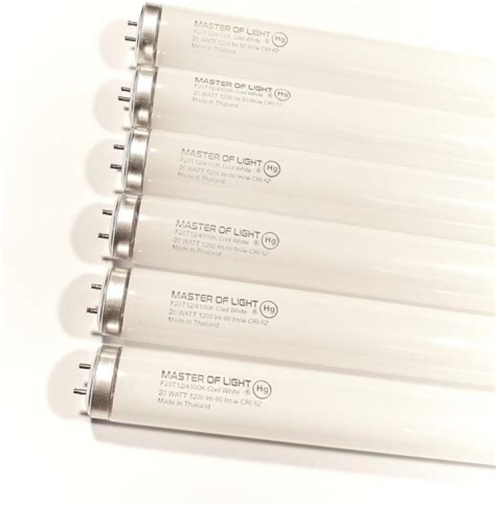 Can you get warm white fluorescent tubes?