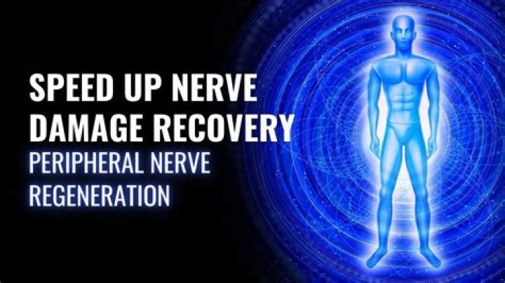 Can you speed up nerve damage recovery?