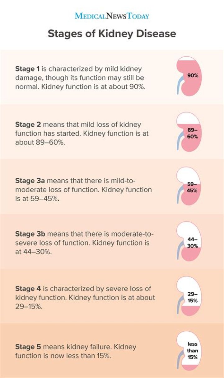 Can you stop kidney disease progressing?