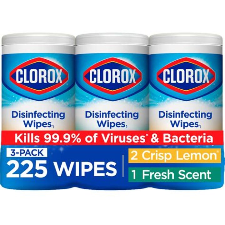 Can you use Clorox wipes on plastic containers?