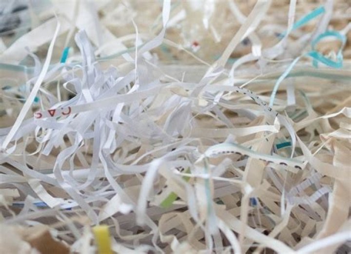 Can you use shredded paper as cat litter?
