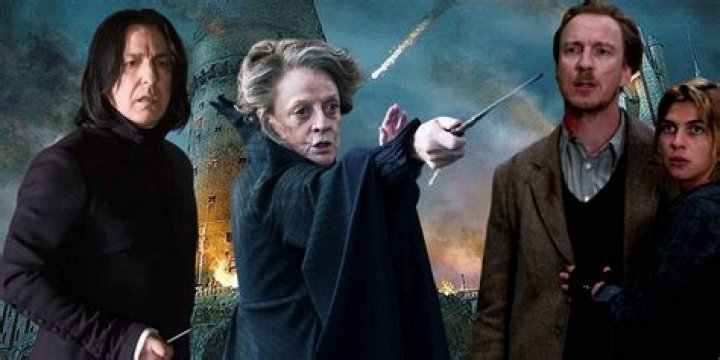 Did Newt Scamander fight in the Battle of Hogwarts?