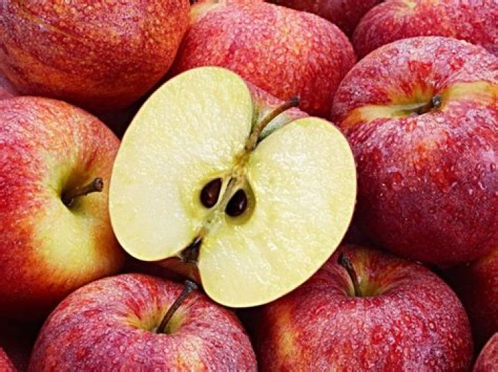 Do apples have cyanide?