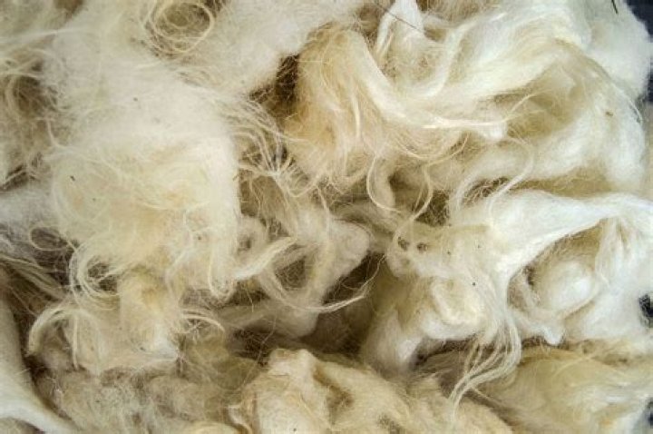 Does alpaca wool insulate when wet?