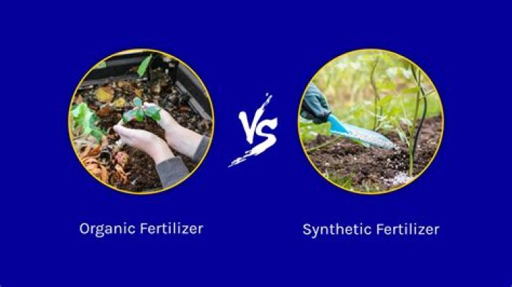 Does fertilizer make fungus worse?