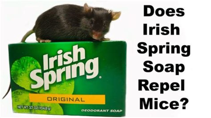 Does Irish Spring repel mice?