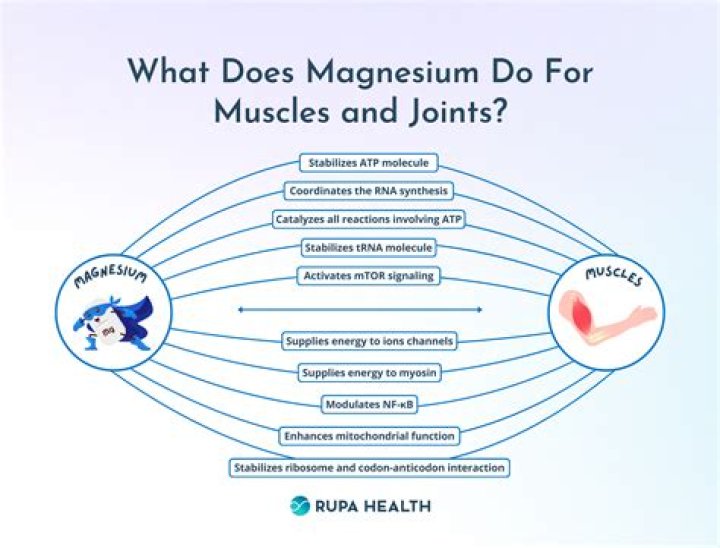 Does magnesium help with brain fog?