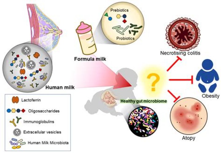 Does milk affect sperm?