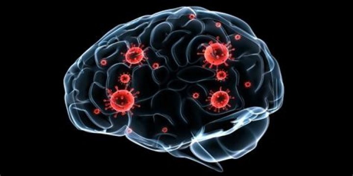 Does mold affect your brain?