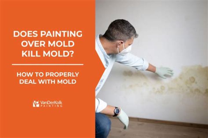 Does painting over mold solve the problem?