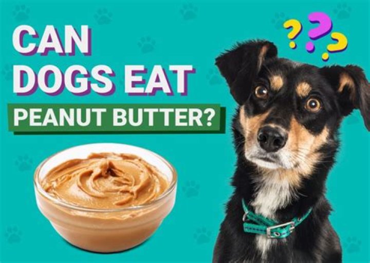 Does peanut butter help dogs breath?