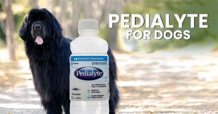 Does Pedialyte help dogs with parvo?