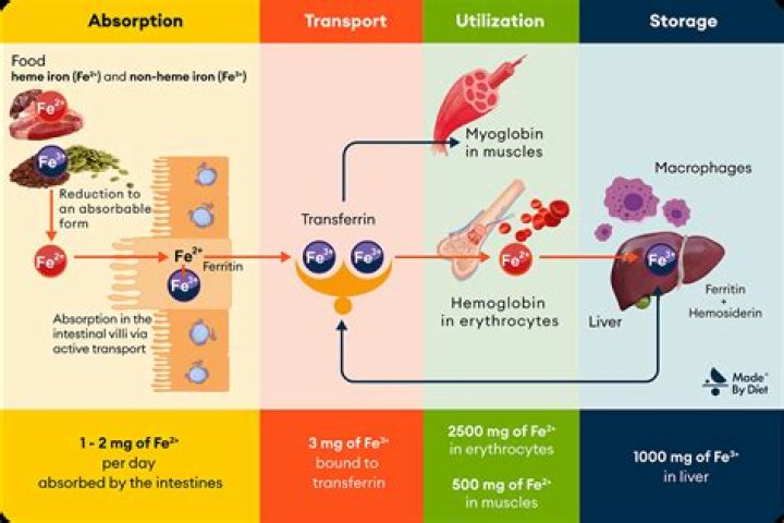 Does turmeric block iron absorption?