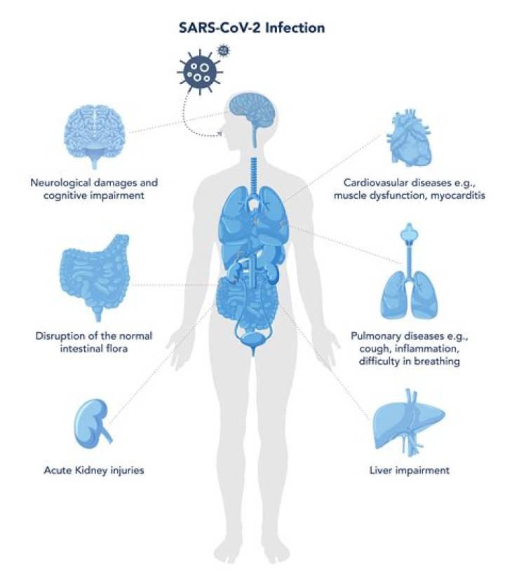 How can COVID-19 affect the kidneys?
