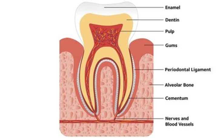 How can I soothe a nerve in my tooth?