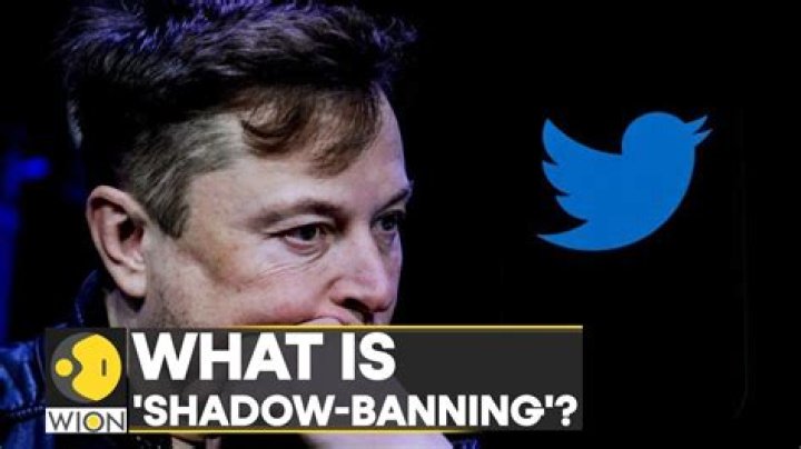 How can I tell if Twitter is shadow banning Me?