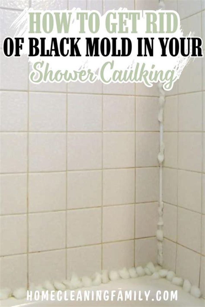 How do I get rid of black mold in my shower without bleach?