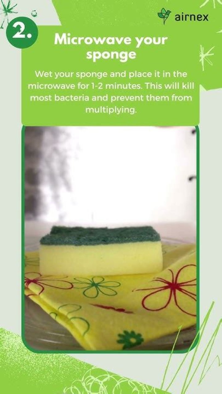 How do I keep my sponges bacteria free?