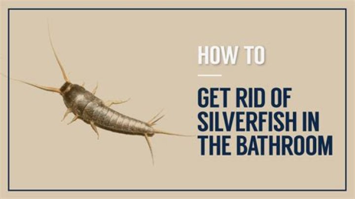 How do I keep silverfish out of my bathroom?