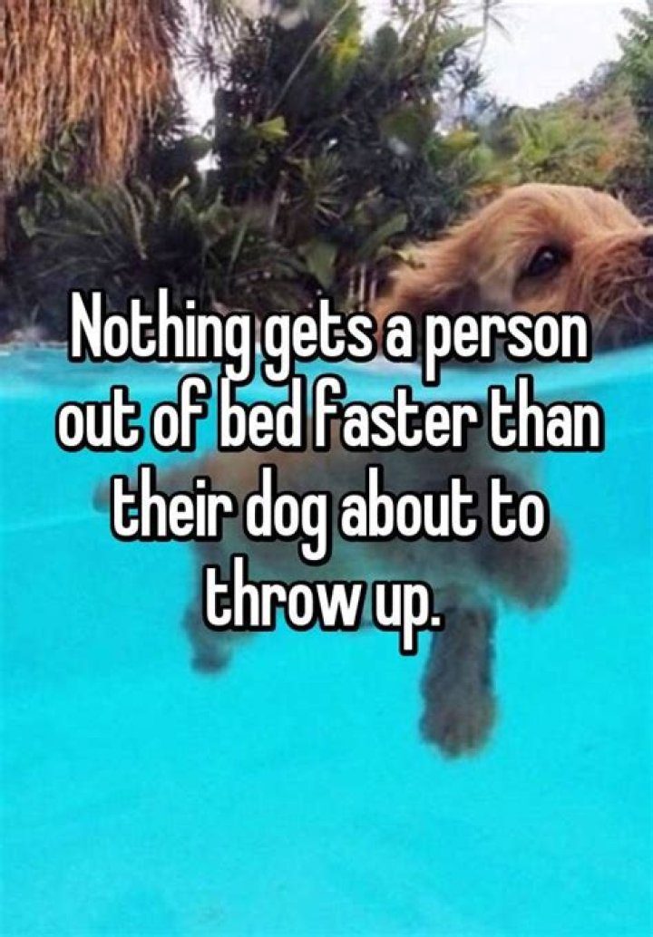 How do I make myself get out of bed faster?