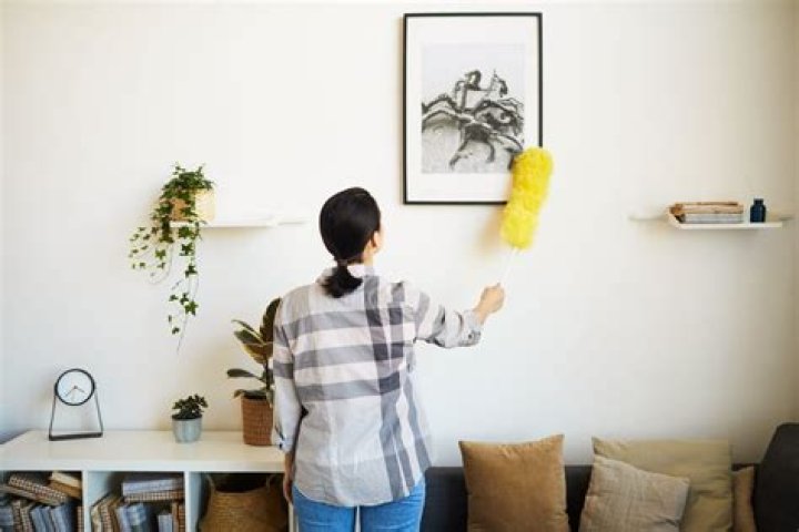 How do you clean painted walls?