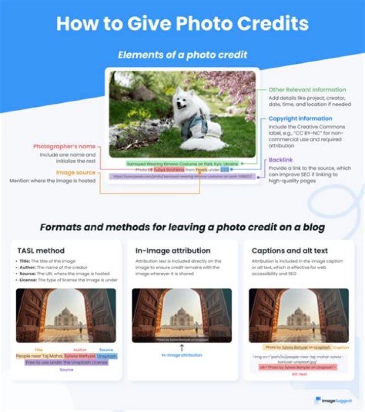 How do you give a dog a message?