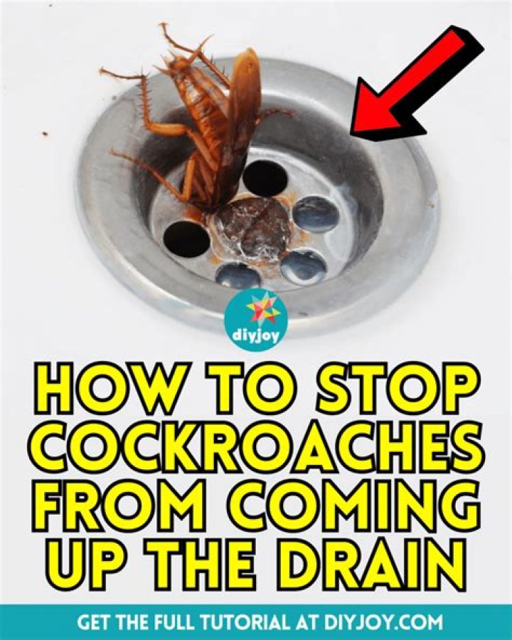How do you keep roaches from coming up your vents?