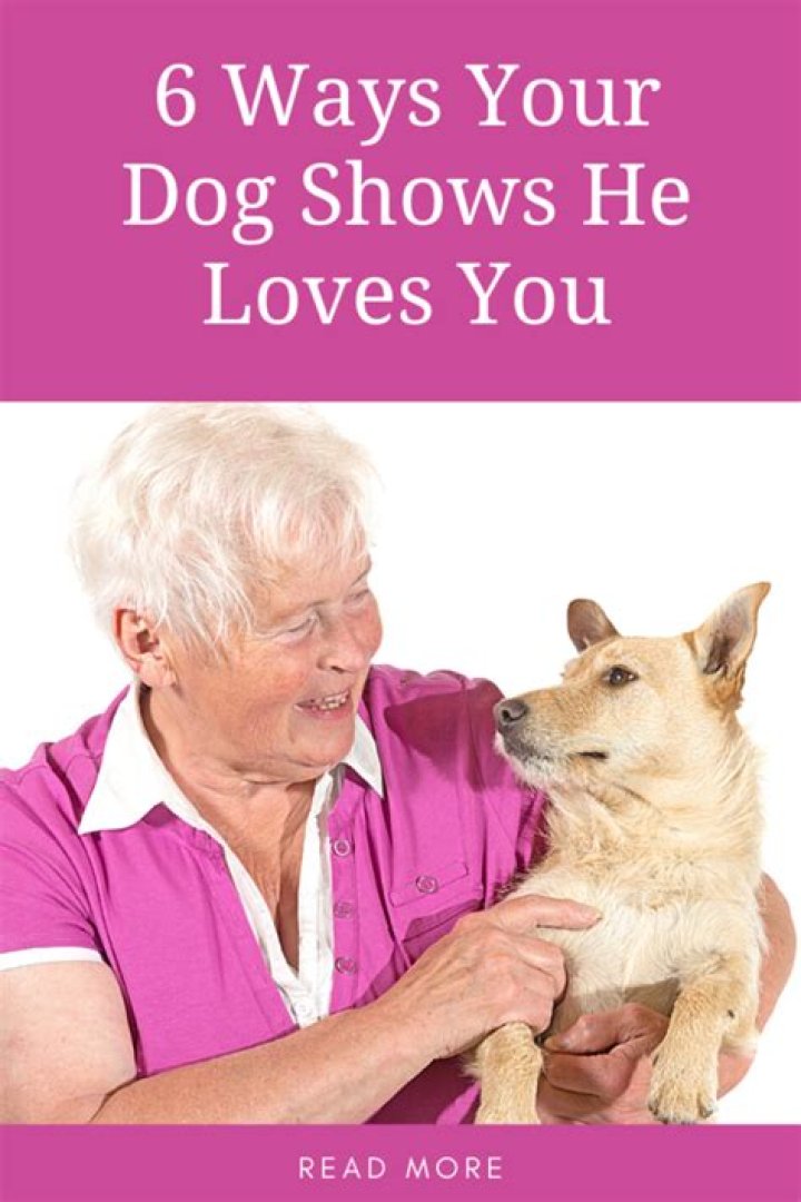 How do you know your dog loves you the most?