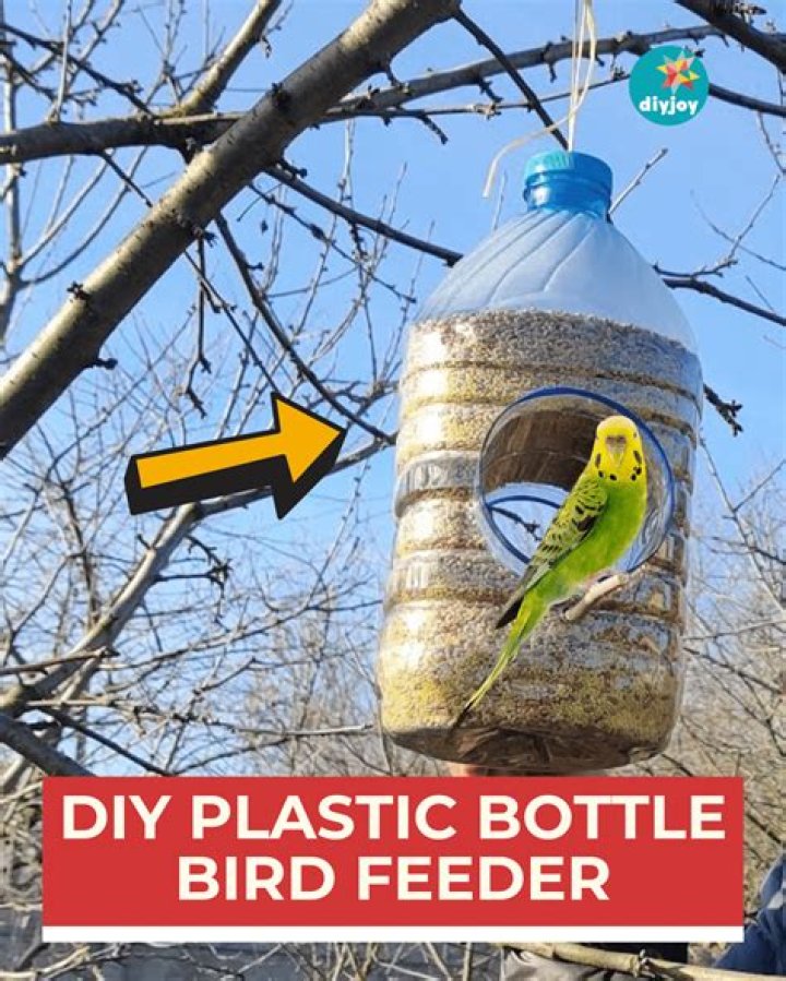 How do you make a squirrel out of a plastic bottle feeder?