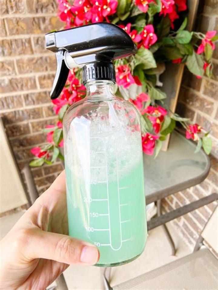 How do you make homemade patio cleaner?