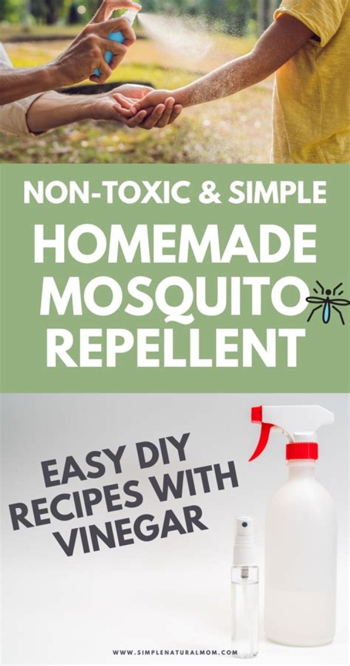 How do you make mosquito repellent with vinegar?