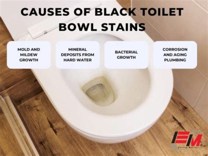 How do you remove algae from a toilet bowl?