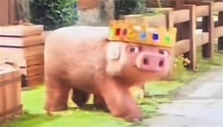 How do you turn pig into Pigman with Trident?