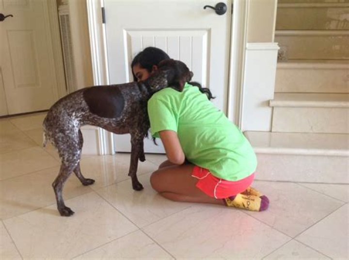 How does a dog hug you?