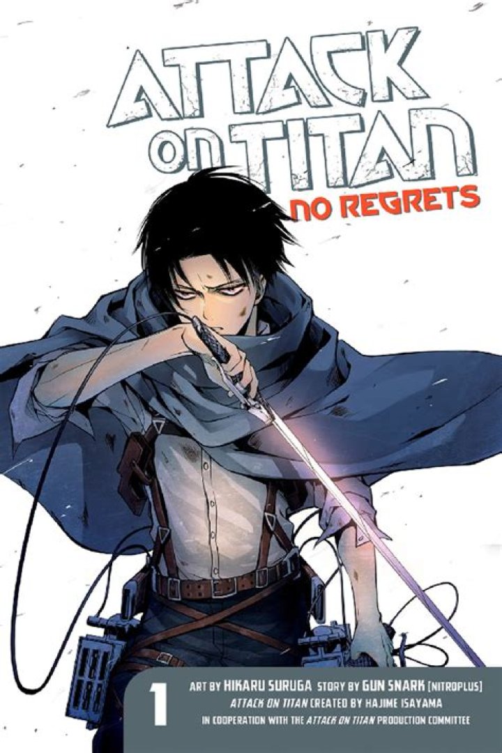 How many AoT no regrets are there?